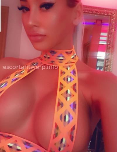 Escort Dasha - Photo 8 №535