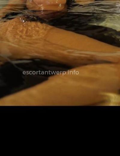 Escort Noa - Photo 1 №580