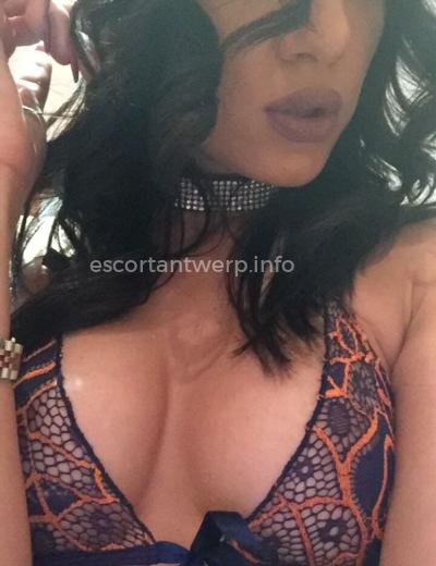 Escort Lexi - Photo 1 №581